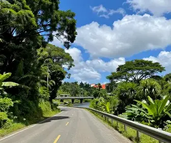 A Melhor Forma de Viajar de Macapá a Oiapoque: Dicas e Informações A Melhor Forma de Viajar de Macapá a Oiapoque: Dicas e Informações