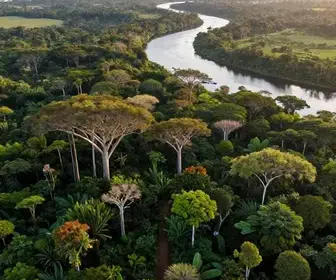 Amapá: Descubra o Guia Turístico Completo do Estado