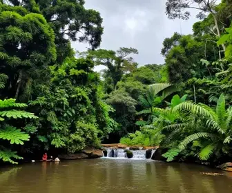 Amapá Durante a Temporada de Chuvas: O Que Esperar Amapá Durante a Temporada de Chuvas: O Que Esperar
