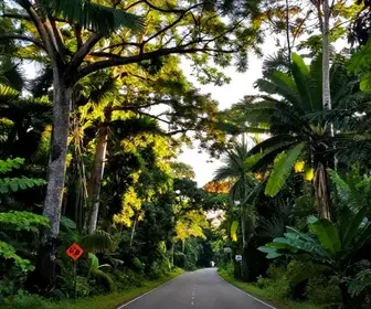 BR-156 no Amapá: seu guia completo para turistas