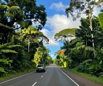 Como Viajar de Macapá a Laranjal do Jari: Guia Completo Como Viajar de Macapá a Laranjal do Jari: Guia Completo