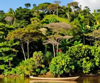 Custo de Viagem para o Amapá: Descubra Quanto Você Vai Gastar