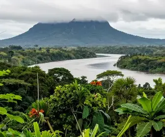 Descubra a Fronteira entre Oiapoque e a Guiana Francesa: Um Destino Inexplorado