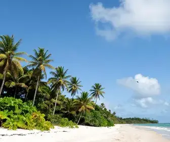 Descubra a Ilha de Santana: Um Paraíso Natural no Amapá Descubra a Ilha de Santana: Um Paraíso Natural no Amapá