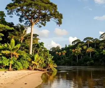 Descubra a Melhor Época para Viajar ao Amapá: Dicas Práticas Descubra a Melhor Época para Viajar ao Amapá: Dicas Práticas