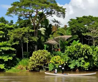 Descubra a Melhor Época para Visitar Oiapoque no Amapá