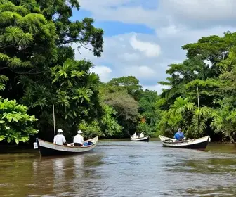 Descubra a Pesca Esportiva em Pracuúba: Um Paraíso para os Amantes da Pesca Descubra a Pesca Esportiva em Pracuúba: Um Paraíso para os Amantes da Pesca