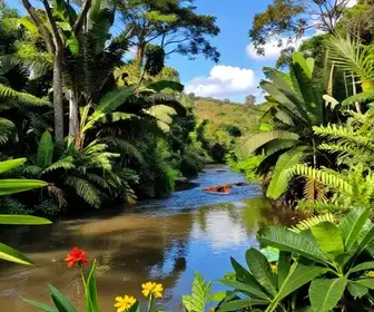 Descubra a Reserva Extrativista do Rio Cajari: Um Tesouro Natural do Amapá Descubra a Reserva Extrativista do Rio Cajari: Um Tesouro Natural do Amapá