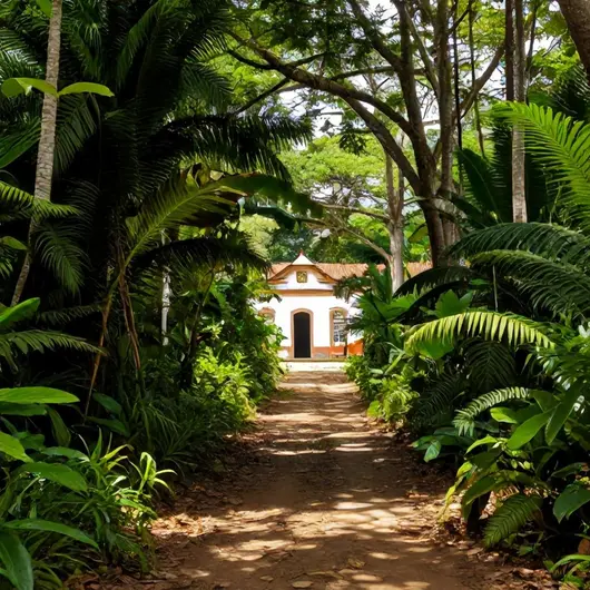 Descubra a Trilha do Museu Sacaca