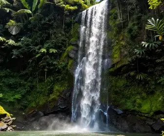 Descubra as Cachoeiras Próximas a Macapá: Belezas Naturais do Amapá Descubra as Cachoeiras Próximas a Macapá: Belezas Naturais do Amapá