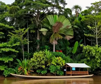 Descubra as Melhores Agências de Turismo no Amapá para Planejar Sua Viagem Descubra as Melhores Agências de Turismo no Amapá para Planejar Sua Viagem