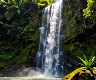 Descubra as Principais Cachoeiras do Amapá para sua Próxima Aventura Descubra as Principais Cachoeiras do Amapá para sua Próxima Aventura