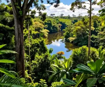 Descubra as Unidades de Conservação do Amapá e seu Valor Ambiental