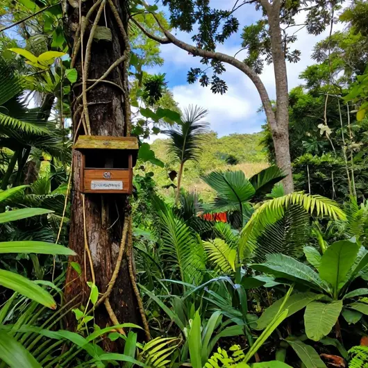 Descubra o Bird Watch: Um Paraíso para Observadores de Aves