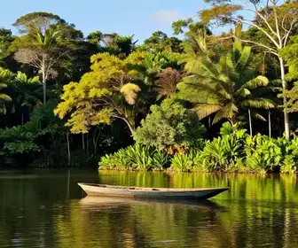 Descubra o Encanto do Lago de Pracuúba no Amapá
