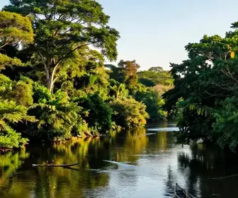Descubra o Encanto do Rio Amapari no Amapá Descubra o Encanto do Rio Amapari no Amapá