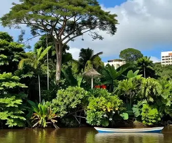 Descubra o Encanto do Rio Jari no Amapá
