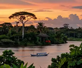Descubra o Encanto dos Passeios de Barco no Rio Amazonas Descubra o Encanto dos Passeios de Barco no Rio Amazonas