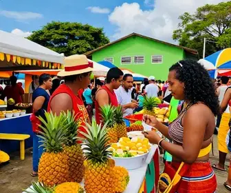 Descubra o Festival do Abacaxi de Porto Grande: Uma Celebração da Cultura Amapaense Descubra o Festival do Abacaxi de Porto Grande: Uma Celebração da Cultura Amapaense