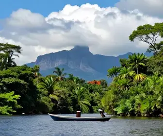 Descubra o Melhor do Bate-volta de Macapá para Porto Grande