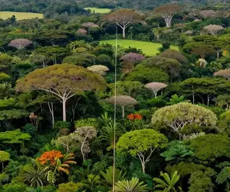 Descubra o Parque Meio do Mundo: Uma Atração Imperdível no Amapá Descubra o Parque Meio do Mundo: Uma Atração Imperdível no Amapá