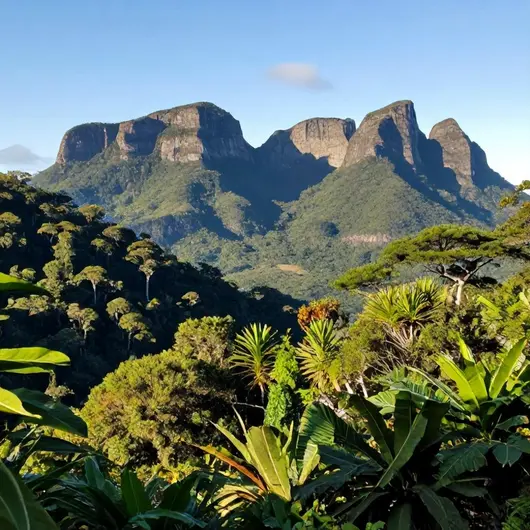 Descubra o Parque Nacional Montanhas do Tumucumaque Descubra o Parque Nacional Montanhas do Tumucumaque