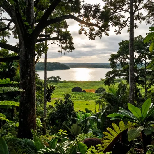Descubra o Parque Nacional Nascentes do Lago Jari