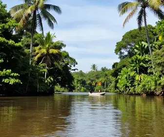 Descubra o Rio Oiapoque: Ajoelhe-se à Natureza Amapaense