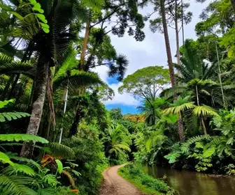 Descubra os Incríveis Passeios em Serra do Navio, Amapá
