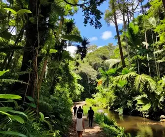 Descubra Os Melhores Passeios de Fim de Semana no Amapá