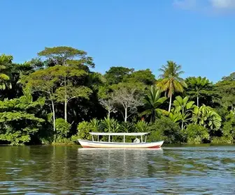 Dicas de Como Chegar ao Amapá de Barco