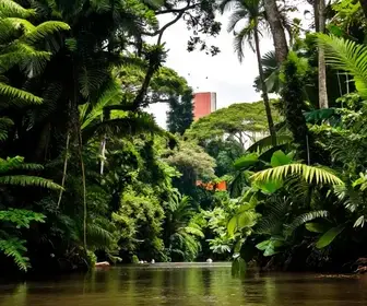 Ecoturismo no Amapá: Descubra as Melhores Práticas e Destinos Ecoturismo no Amapá: Descubra as Melhores Práticas e Destinos