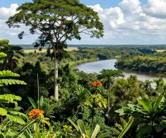 Explorando a Região Vale do Jari: Um Tesouro do Amapá