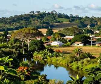 Explorando Cutias: O Guia Definitivo do Turismo em Amapá