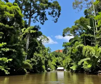 Explorando Guias de Turismo no Amapá: Descubra o Melhor do Estado Explorando Guias de Turismo no Amapá: Descubra o Melhor do Estado