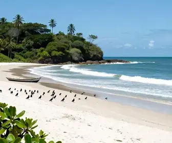 Explorando o Cabo Orange: Um Roteiro Imperdível no Amapá