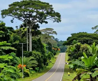 Explorando o Roteiro de Macapá a Oiapoque: Um Guia Completo Explorando o Roteiro de Macapá a Oiapoque: Um Guia Completo
