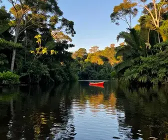 Explorando os Encantos dos Lagos do Amapá