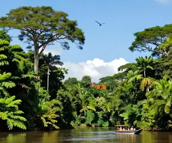 Explore o Amapá: Roteiro Imperdível de 10 Dias