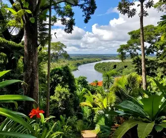 Explore o Jari Bioexperience: Uma Aventura no Amapá