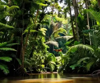 Guia Completo para Visitar Áreas Protegidas no Amapá