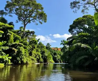 Guia de rios e lagos em Amapá: 9 opções recomendadas