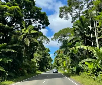 Guia Prático: Como Viajar de Macapá a Santana