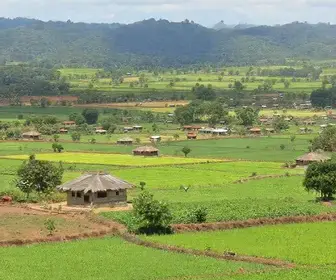 Juntos pelo Agro Amapá fortalece negócios rurais em 16 municípios Juntos pelo Agro Amapá