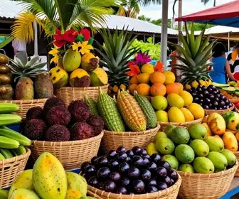 Onde Encontrar as Melhores Frutas Regionais em Macapá Onde Encontrar as Melhores Frutas Regionais em Macapá