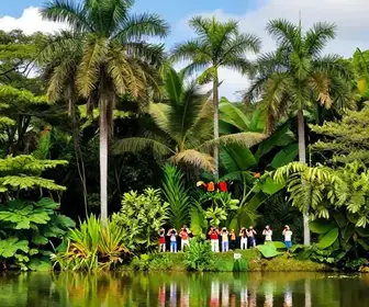 Os Melhores Locais para Observar Aves no Amapá Os Melhores Locais para Observar Aves no Amapá