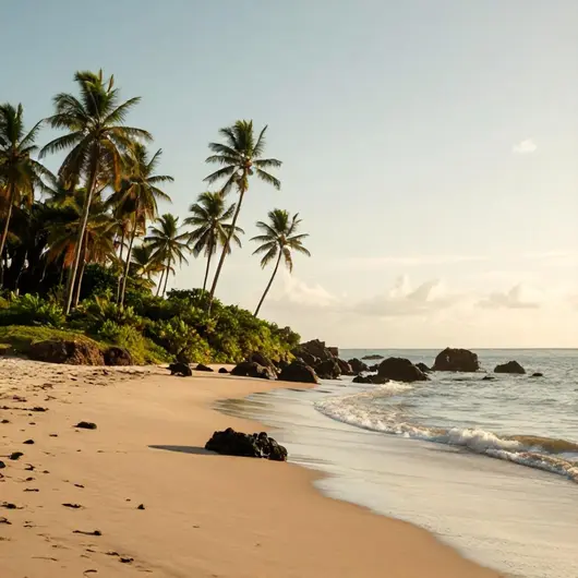 Praia da Fazendinha: Um Refúgio Natural no Amapá Praia da Fazendinha: Um Refúgio Natural no Amapá