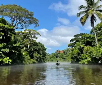 Quando Visitar o Vale do Jari: Dicas para a Melhor Época Quando Visitar o Vale do Jari: Dicas para a Melhor Época