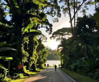 Rotas e Dicas de Como Chegar ao Amapá: Seu Guia Completo Rotas e Dicas de Como Chegar ao Amapá: Seu Guia Completo